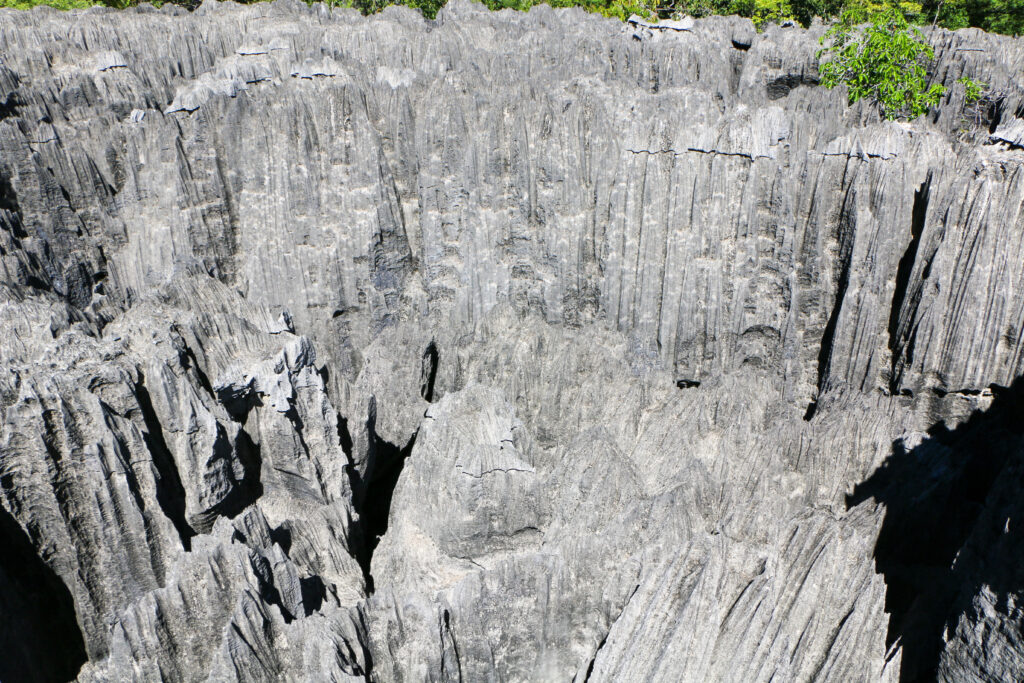 Tsingy De Bemaraha National Park  Madagaskar